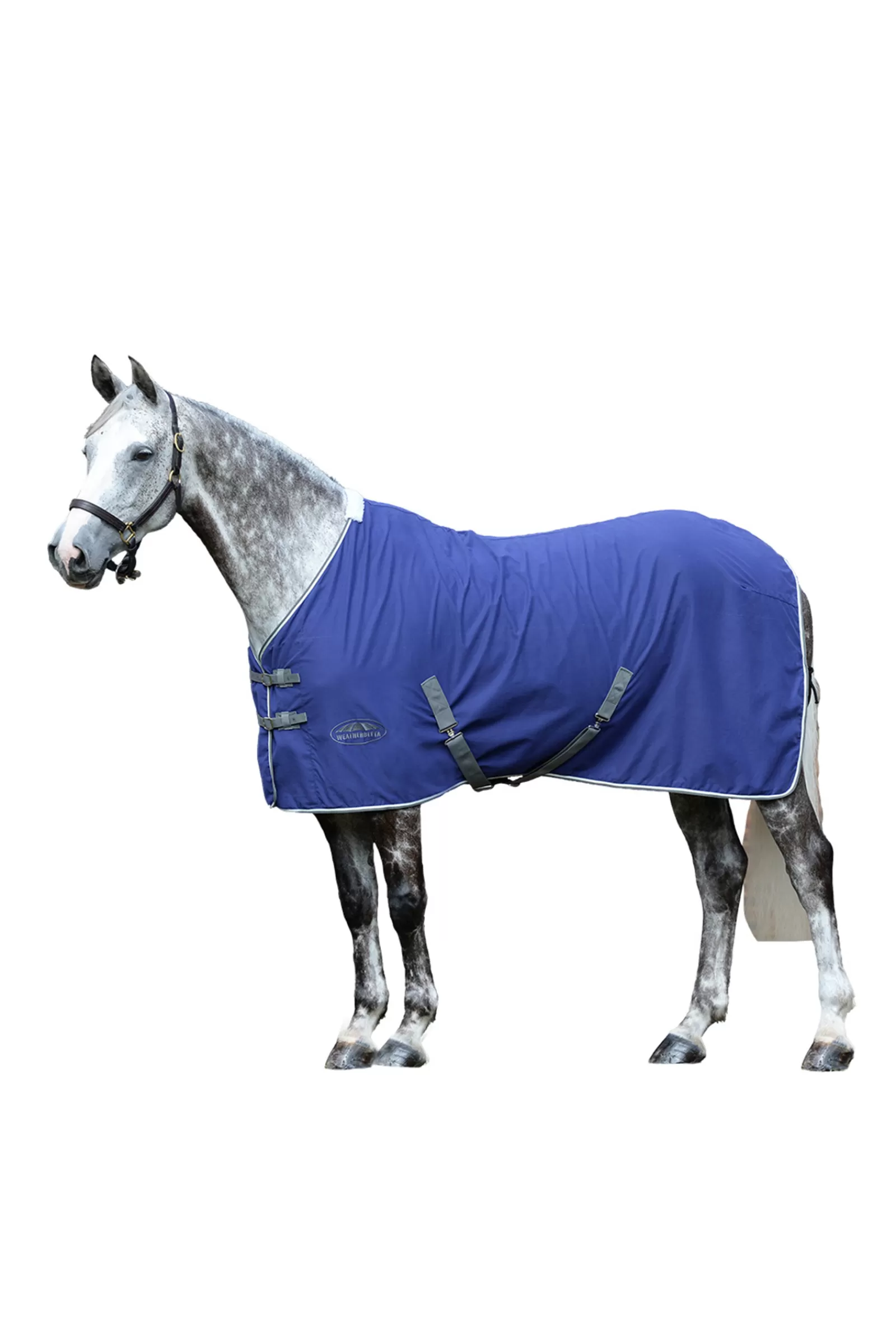 weatherbeeta Cotton Show Rug> Fleece Horse Rugs & Cooler Rugs