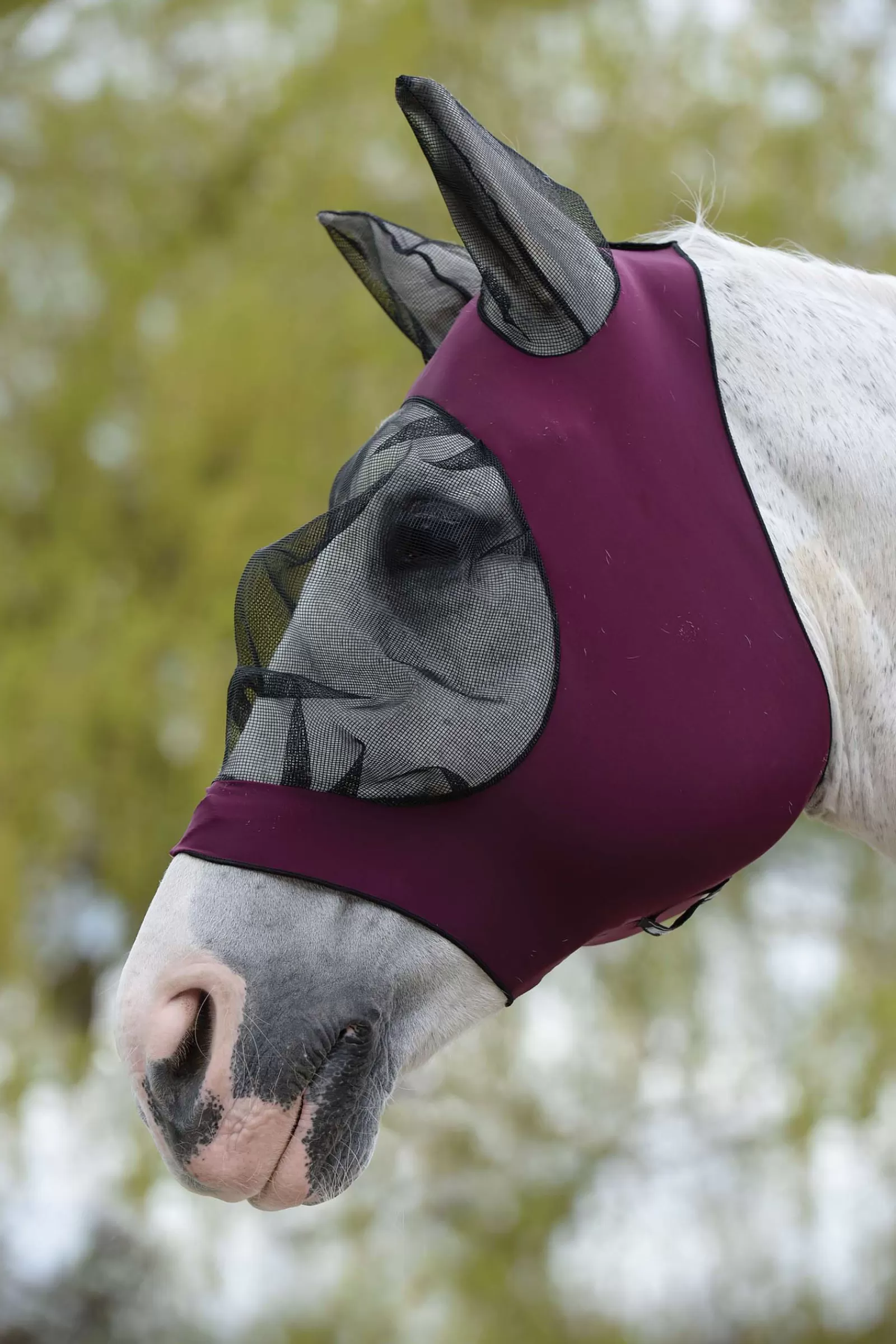 weatherbeeta Deluxe Stretch Bug Eye Saver With Ears> Fly Masks & Fringes