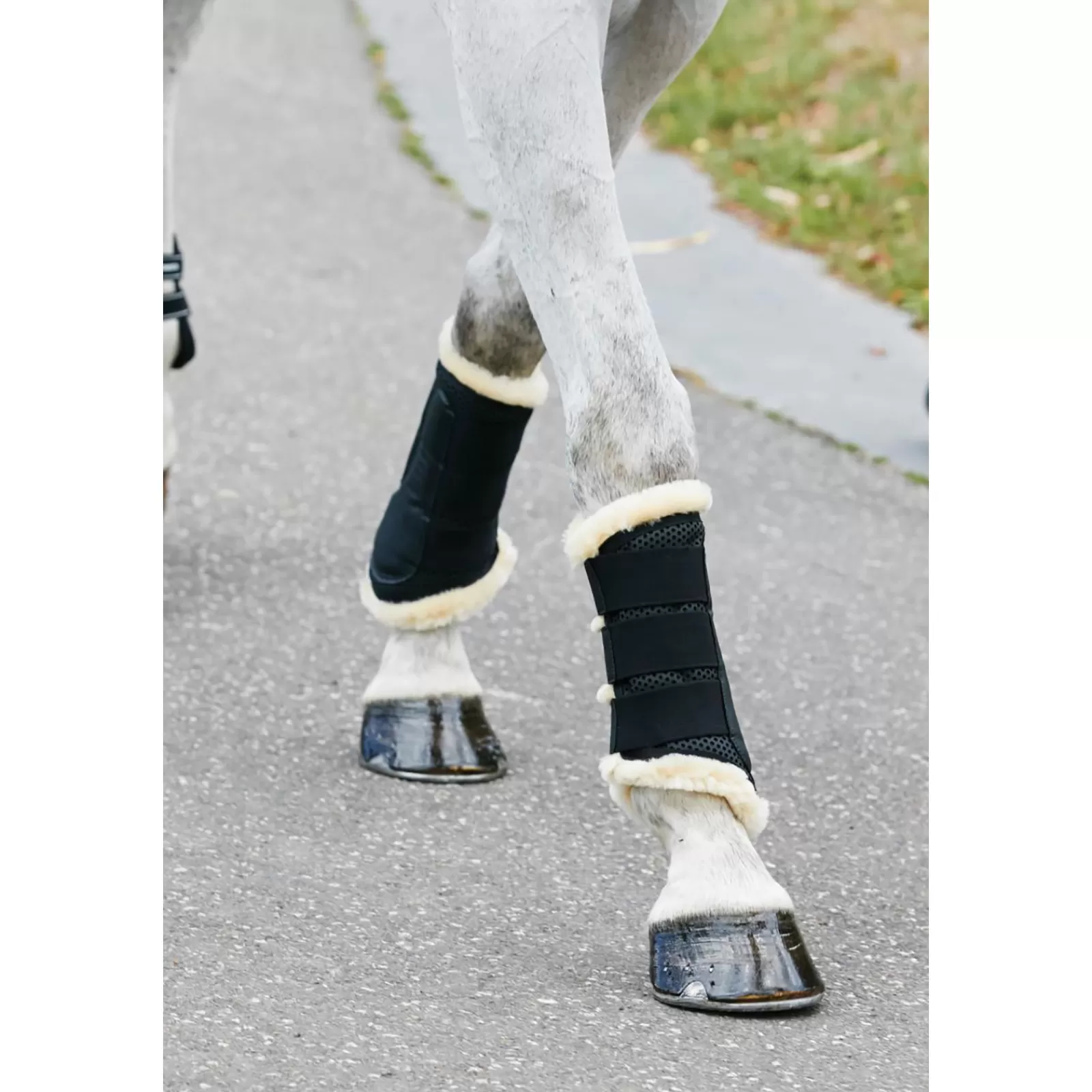 weatherbeeta Pure Wool Lined Exercise Boots> Horse Boots