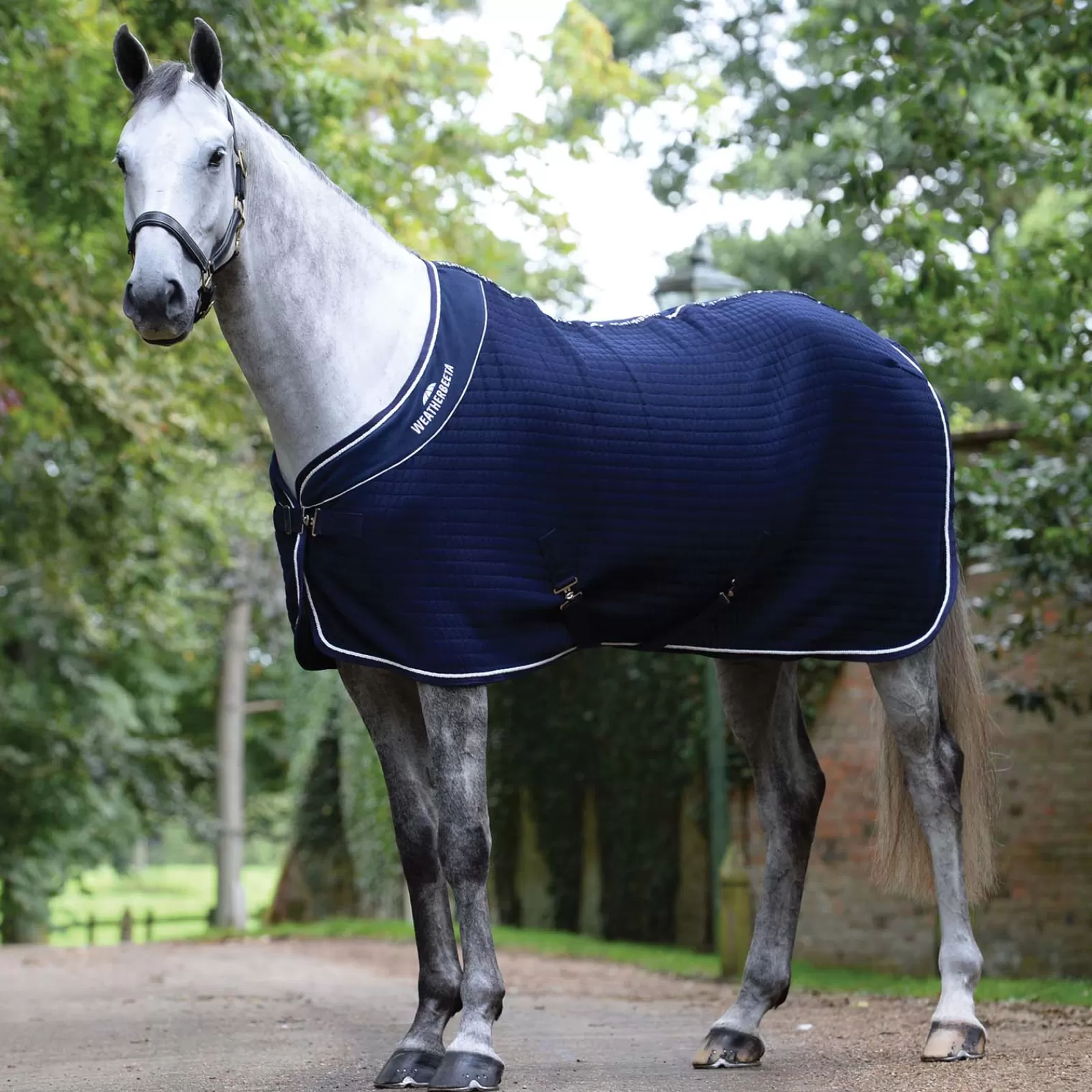 weatherbeeta Thermocell Cooler> Fleece Horse Rugs & Cooler Rugs