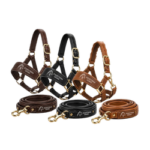 Halter Collection